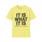 It is what it is (and what it is, is a crap)T-Shirt